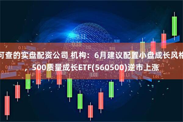 可查的实盘配资公司 机构：6月建议配置小盘成长风格，500质量成长ETF(560500)逆市上涨